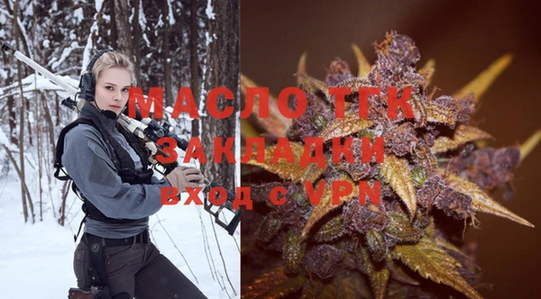 прущие грибы Михайлов
