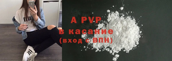 прущие грибы Михайлов