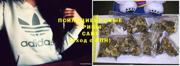 прущие грибы Михайлов