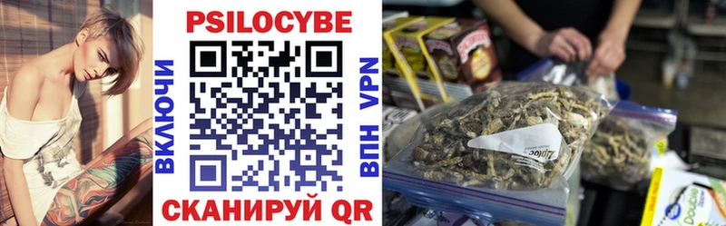 Купить где  Алушта  Псилоцибиновые грибы мицелий 