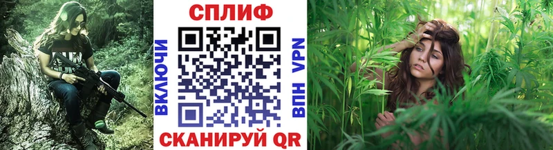 Купить где  Алушта  Конопля OG Kush 